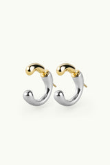 Mixed Double Sided Earrings