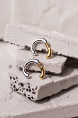 Mixed Double Sided Earrings