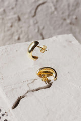 Curved Earrings Gold